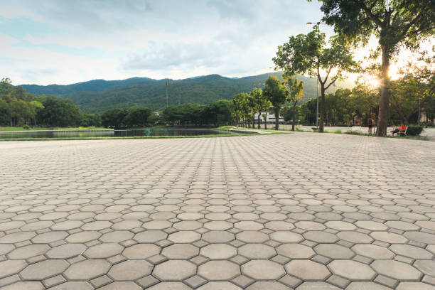 Best Professional Driveway Pavers  in Landis, NC